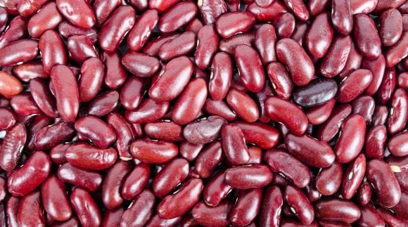 Lectins and Leaky Gut Syndrome